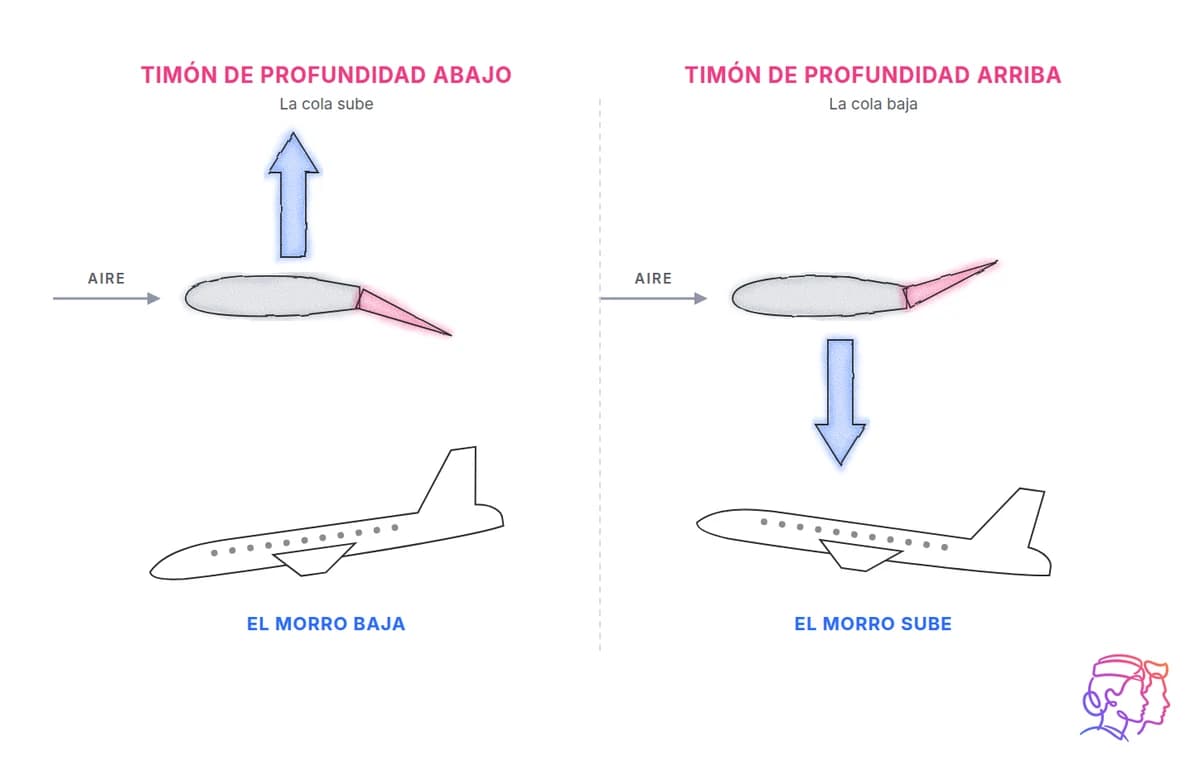 Timón de profundidad y su efecto en la cola