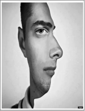¿Una cara de frente o de perfil?